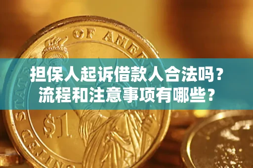 武汉担保人起诉借款人合法吗？流程和注意事项有哪些？