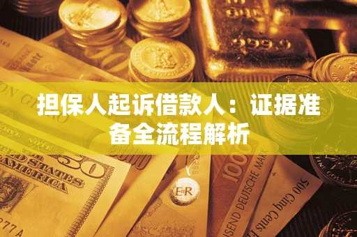 武汉担保人起诉借款人：证据准备全流程解析