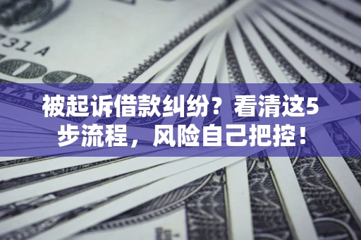 武汉被起诉借款纠纷？看清这5步流程，风险自己把控！