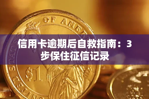 武汉信用卡逾期后自救指南：3步保住征信记录