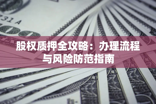 武汉股权质押全攻略：办理流程与风险防范指南