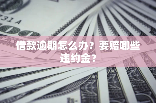 武汉借款逾期怎么办？要赔哪些违约金？