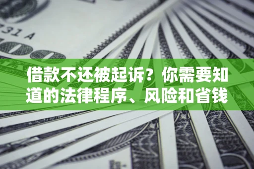 武汉借款不还被起诉？你需要知道的法律程序、风险和省钱技巧