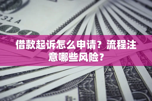 武汉借款起诉怎么申请？流程注意哪些风险？