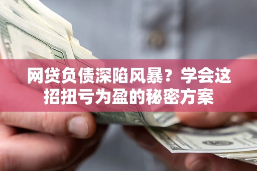 武汉网贷负债深陷风暴？学会这招扭亏为盈的秘密方案