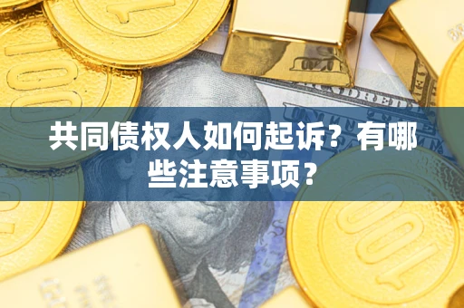 武汉共同债权人如何起诉？有哪些注意事项？