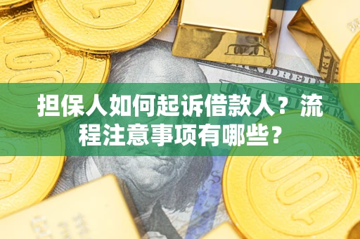 武汉担保人如何起诉借款人？流程注意事项有哪些？